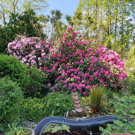 Ferienwohnung Gartenblick Westerstede Εξωτερικό φωτογραφία