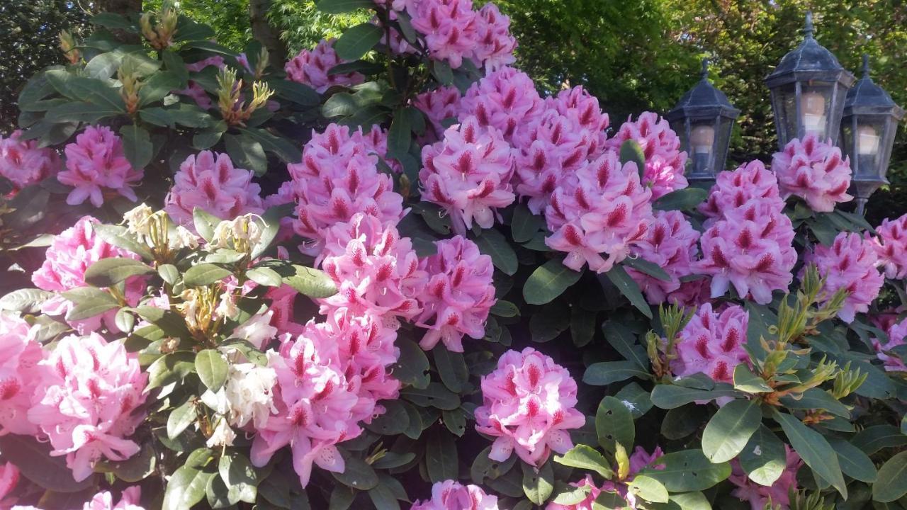 Ferienwohnung Gartenblick Westerstede Εξωτερικό φωτογραφία