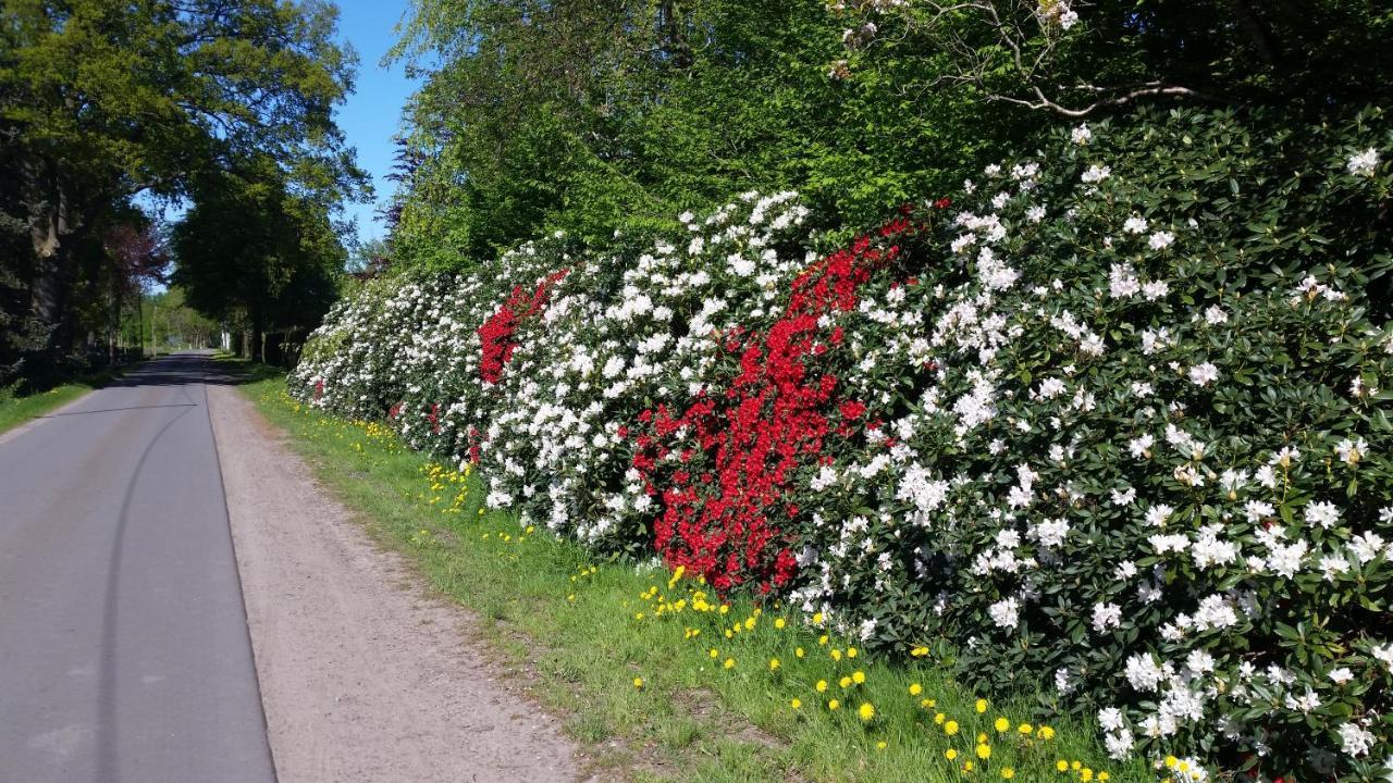 Ferienwohnung Gartenblick Westerstede Εξωτερικό φωτογραφία