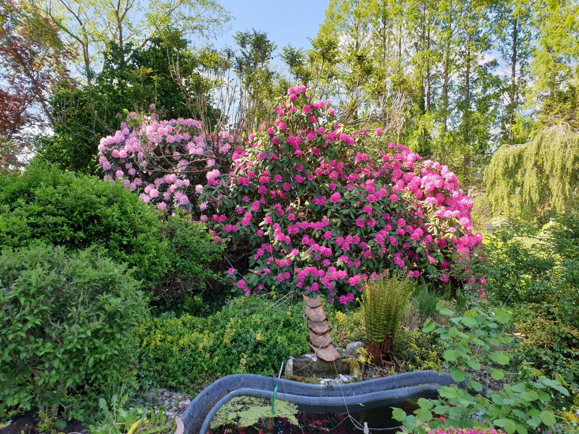 Ferienwohnung Gartenblick Westerstede Εξωτερικό φωτογραφία