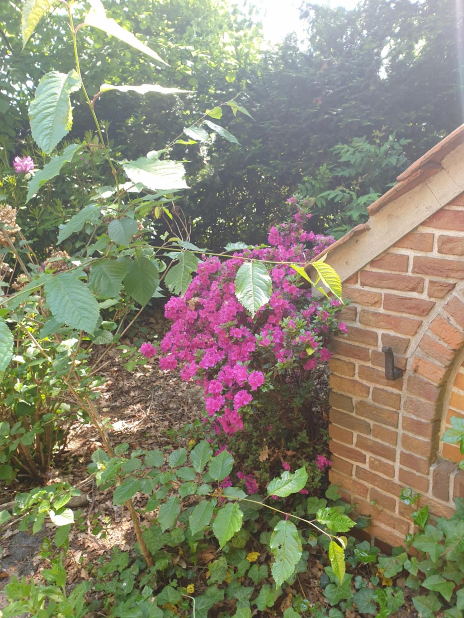 Ferienwohnung Gartenblick Westerstede Εξωτερικό φωτογραφία